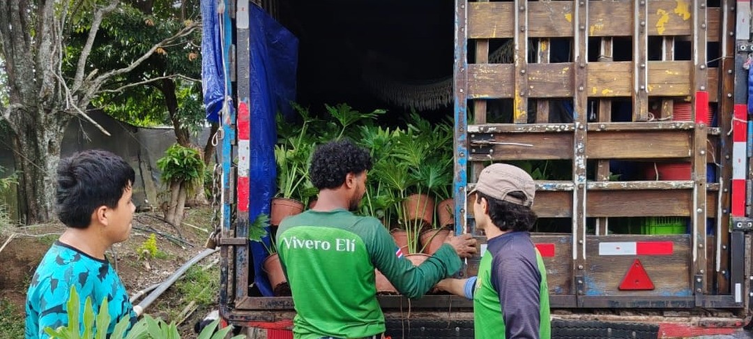 Carga para negocios